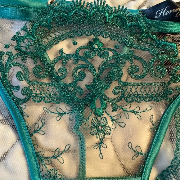 (NWT) Honey Birdette Gabrielle Emerald Briefs - Picture 8 of 9